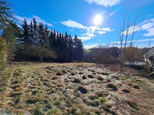 Wiesenfläche hinter der Scheune