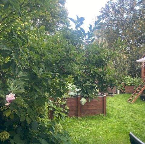 Großbeeren Häuser, Großbeeren Haus kaufen