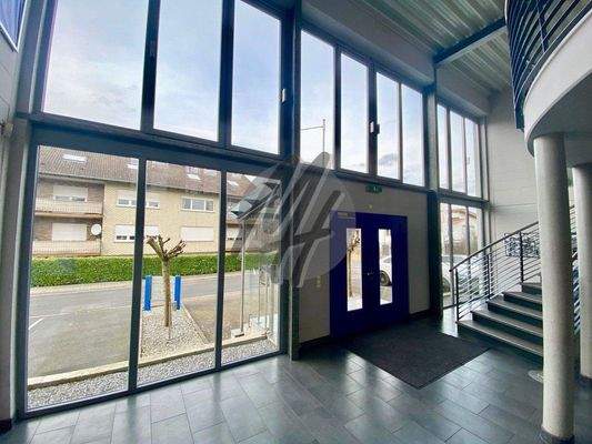 INFOS UNTER: 06171-586000