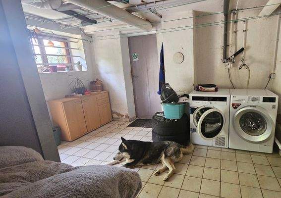 Kellerraum/Waschraum mit Augang in den Garten