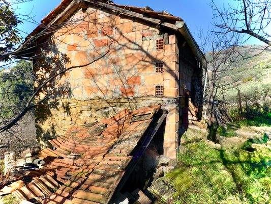 DA997_04_TERRA ITALIA IMMOBILIEN_REAL ESTATE_LAND_