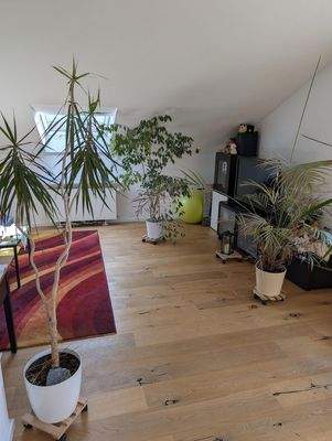 Kinder-/Schlafzimmer 3 im DG