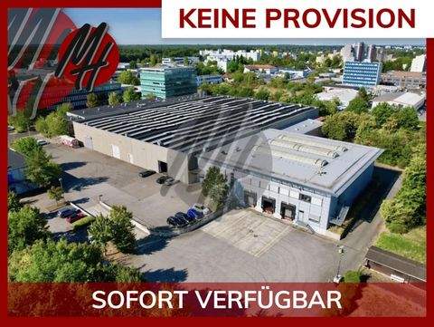 Frankfurt am Main Halle, Frankfurt am Main Hallenfläche