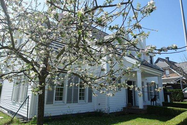 Vorgarten im Frühling