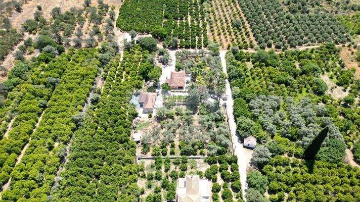 img_cae4246e-6ec2-4c18-96f4-cce58d4730fd