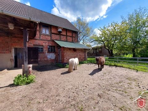 Hannoversch Münden / Hemeln Bauernhöfe, Landwirtschaft, Hannoversch Münden / Hemeln Forstwirtschaft