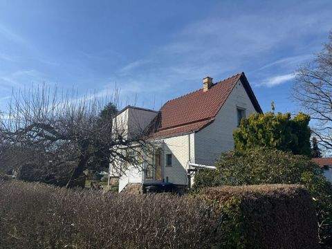 Machern Häuser, Machern Haus kaufen