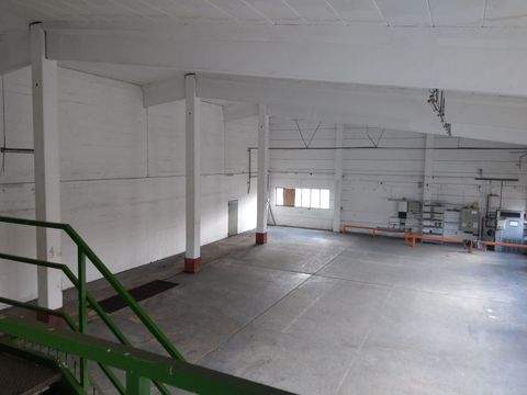 Beilngries Halle, Beilngries Hallenfläche