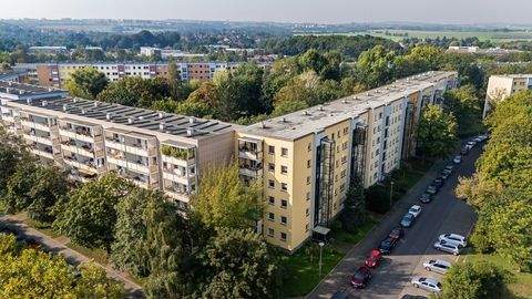 Dresden Wohnungen, Dresden Wohnung mieten