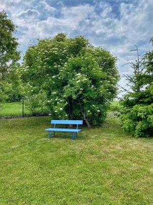 Ruheplatz hinter dem Haus