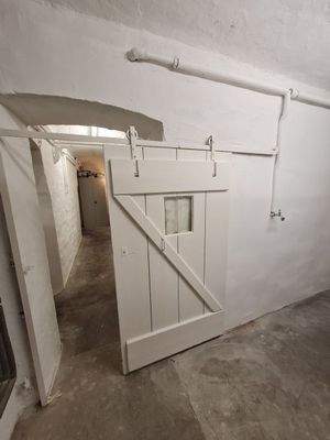 Teilansicht im Keller mit alter Holztür