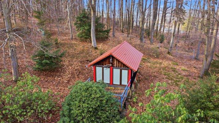 Rückzugsort im privaten Wald