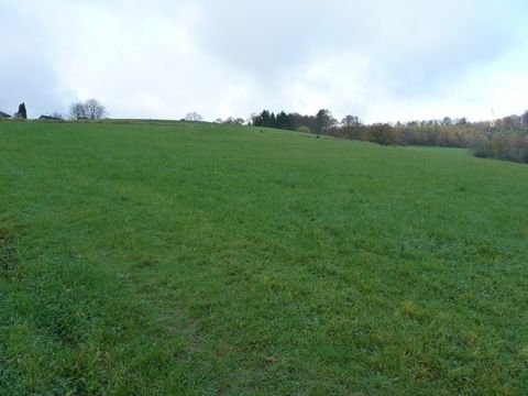 Waldbröl Bauernhöfe, Landwirtschaft, Waldbröl Forstwirtschaft