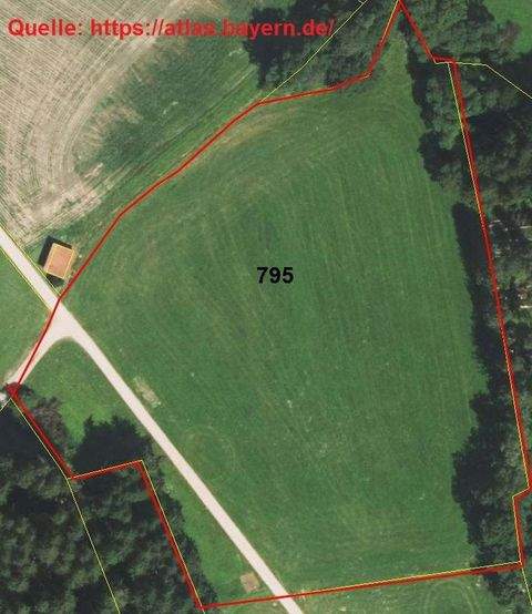 Schonstett Bauernhöfe, Landwirtschaft, Schonstett Forstwirtschaft