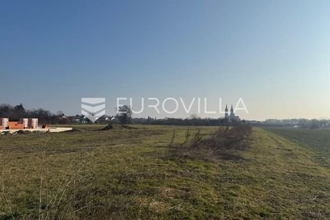 Djakovo Bauernhöfe, Landwirtschaft, Djakovo Forstwirtschaft