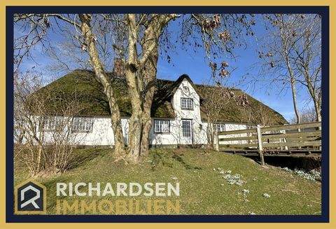 Neukirchen Häuser, Neukirchen Haus kaufen