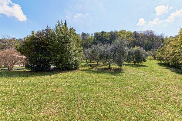 PHOTO-2025-05-26-20-54-24 3.jpg