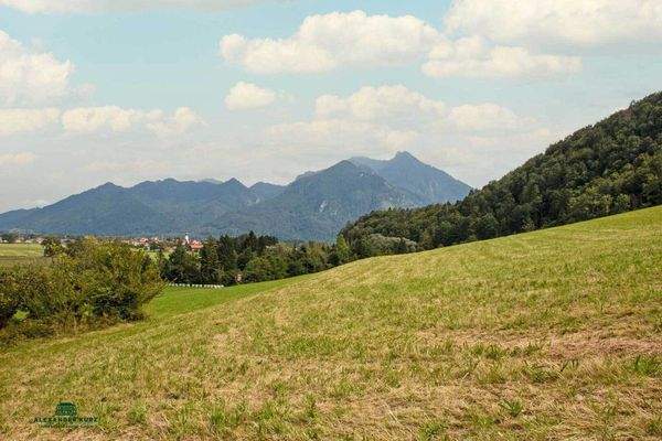 Bauernhof, Immobilien-Kurz-Salzburg