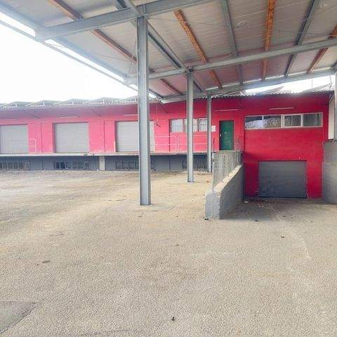 Straubing Halle, Straubing Hallenfläche