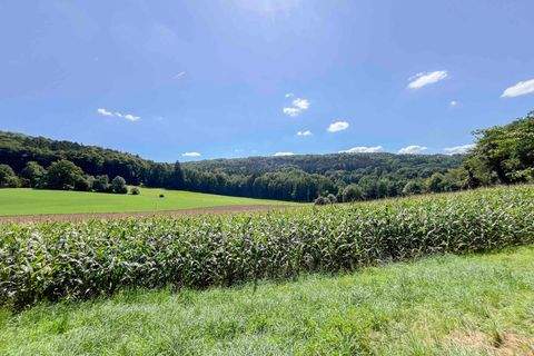Berg bei Neumarkt in der Oberpfalz Häuser, Berg bei Neumarkt in der Oberpfalz Haus kaufen