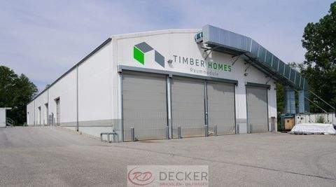 Dorfen Halle, Dorfen Hallenfläche