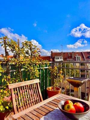 auf der Dachterrasse