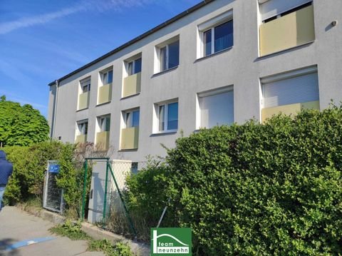 Wien Wohnungen, Wien Wohnung mieten