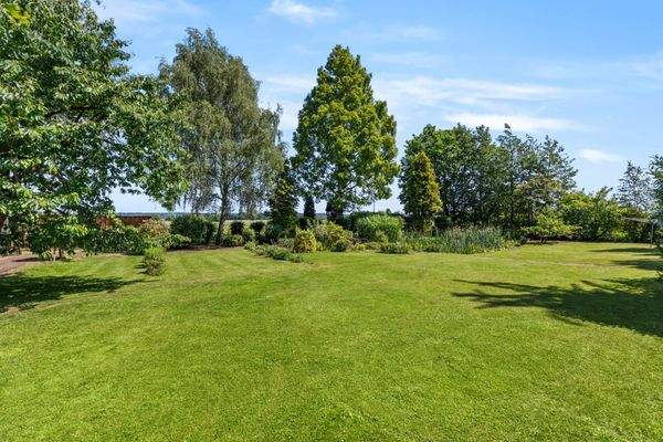 Weitläufiger Garten