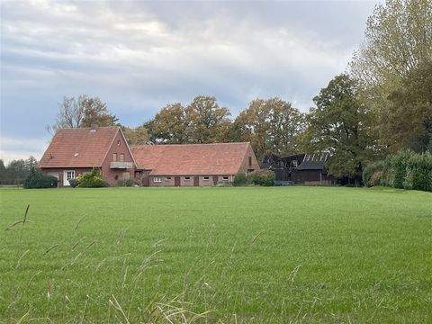 Osterwald b Neuenhaus, Dinkel Häuser, Osterwald b Neuenhaus, Dinkel Haus kaufen