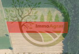 ImmoAgrar_Amberg_Ackeland.png