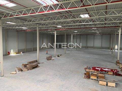 Mülheim an der Ruhr Halle, Mülheim an der Ruhr Hallenfläche