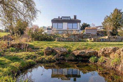 Neunkirchen am Brand Häuser, Neunkirchen am Brand Haus kaufen