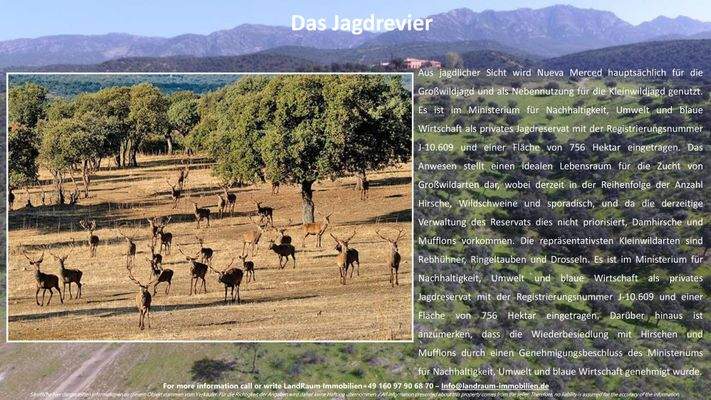 La Nueva Merced - Expose LRI - Deutsch-33.jpg