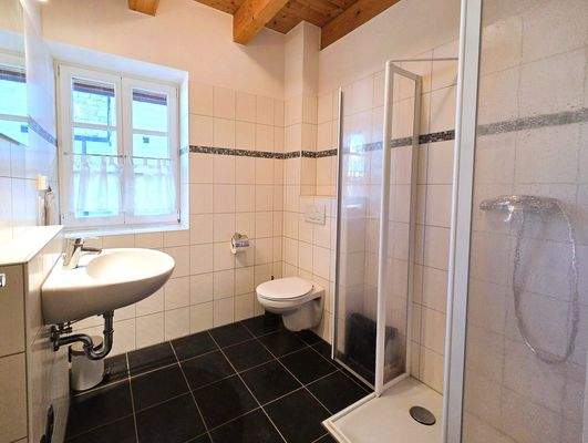 Modernes Duschbad mit Tageslicht