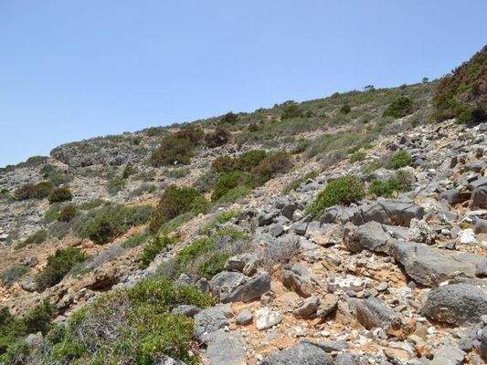 Kreta, Elounda: Großes, erstklassiges Grundstück in erster Meereslinie zu verkaufen