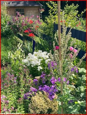 Sommerimpressionen
