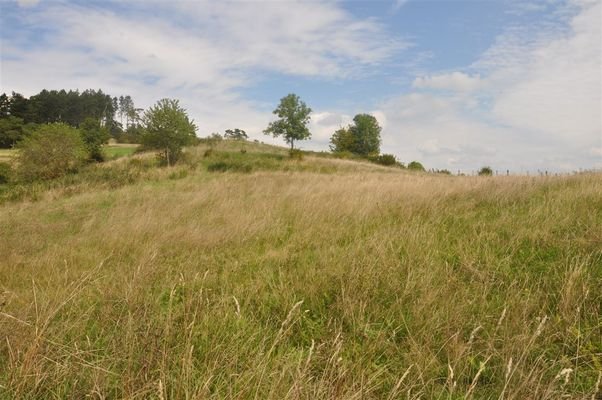 Blickrichtung Plateau