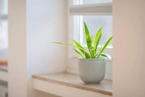 93e1a40c-befa-431d-83fa-291134bda2f7