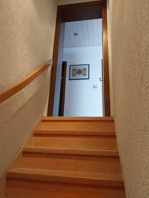 Treppe in den Wohnkeller.jpg