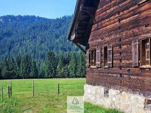 Balderschwang Grundstücke, Balderschwang Grundstück kaufen