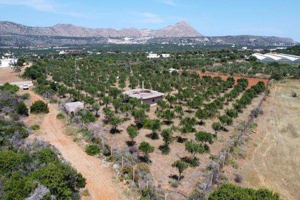 Kreta, Mouzouras: Flaches Grundstück mit Panoramablick zu verkaufen