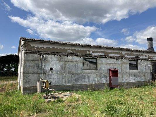 20250619_120151431_iOS