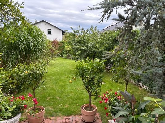 Garten Sommer