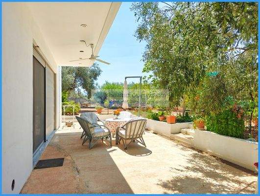 cb702750645f468ca5e116f41e7d4fe7-original