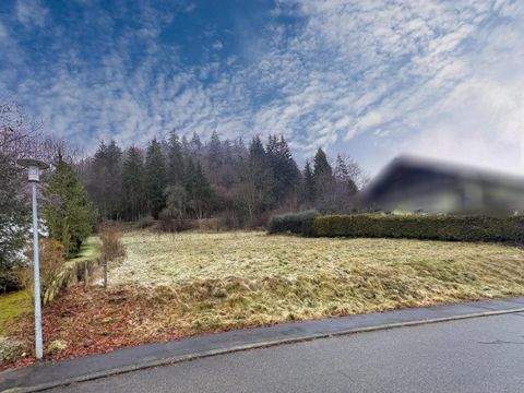 Nusplingen Grundstücke, Nusplingen Grundstück kaufen