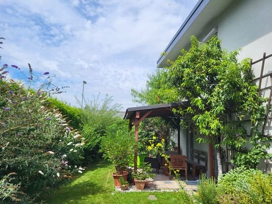 Terrasse, Garten