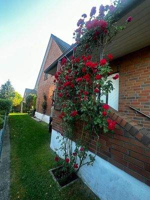 Hausansicht links.jpg