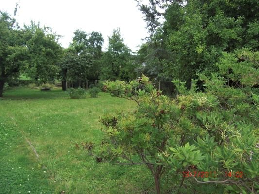 viel Platz für Gartenträume