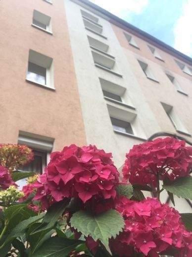 Colditz Wohnungen, Colditz Wohnung mieten