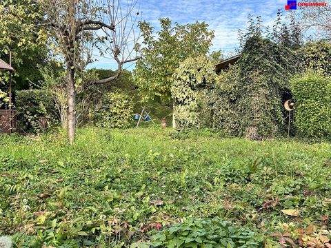 Trausdorf an der Wulka Grundstücke, Trausdorf an der Wulka Grundstück kaufen